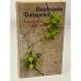 Обложка книги «Сволочей тоже жалко», ISBN 9785389078765