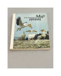 Мир птиц