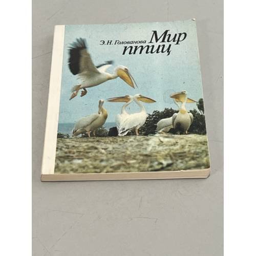 Мир птиц