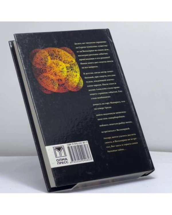 Дополнительное изображение книги «Сокровища Валькирии. Правда и вымысел»