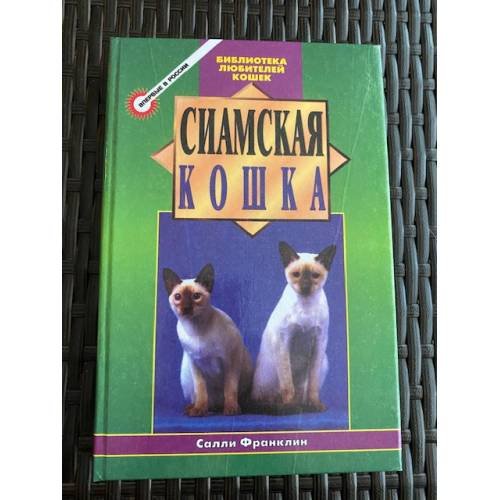 Сиамская кошка