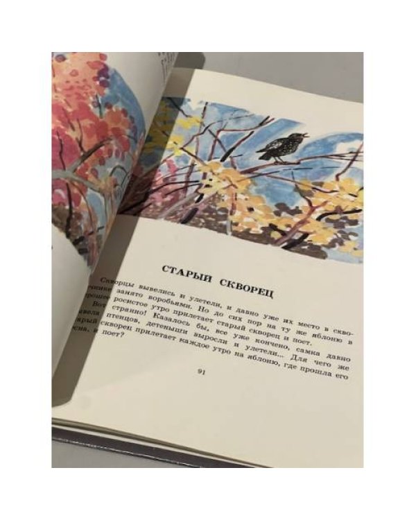 Кладовая солнца 