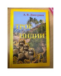 Трое в Индии (не считая кота)