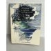 Обложка книги «Плавай. плавай. лебеденько.» — Народні пісні
