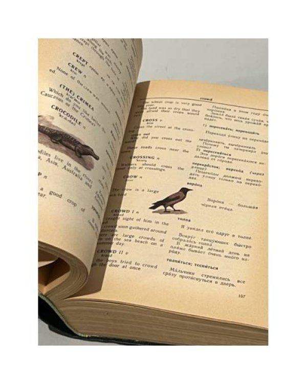 Дополнительное изображение книги «Англо-русский словарь с иллюстрациями / An English-Russian Illustrated Dictionary »