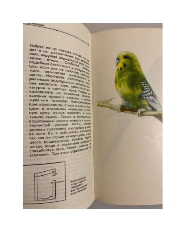 Дополнительное изображение книги «Волнистые попугайчики»