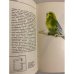 Дополнительное изображение книги «Волнистые попугайчики»
