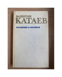 Кладбище в Скулянах