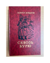 Сквозь бурю