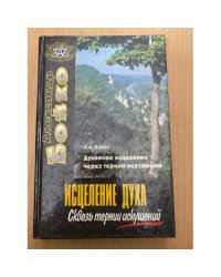 Исцеление духа. Сквозь тернии искушений
