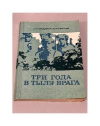 Три года в тылу врага
