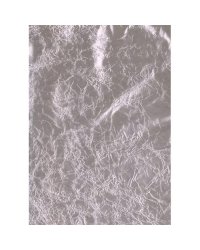 Коллективные действия. Поездки за город. 2-3 (2011). Библиотека Московского концептуализма Германа Титова