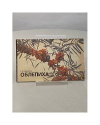 Облепиха