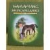 Обложка книги «Балачак энциклопедиясе. Икенче китап» — Шакирова Талия Р., Шаех Ленар, ISBN 9785298019330