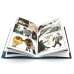 Дополнительное изображение книги «Земля Королей. Кн. 1 Трефовый том комикс»