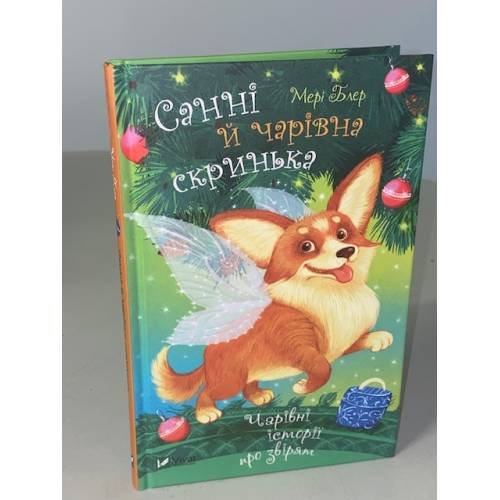 Санні й чарівна скринька