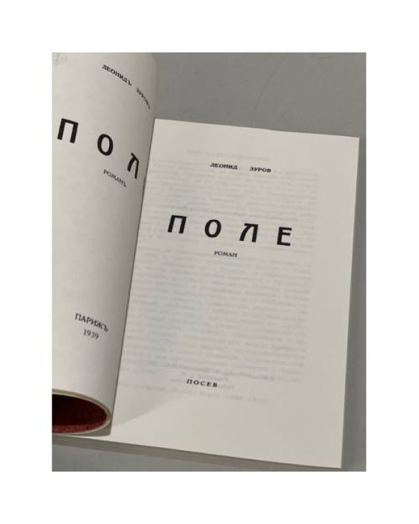 Дополнительное изображение книги «Поле»