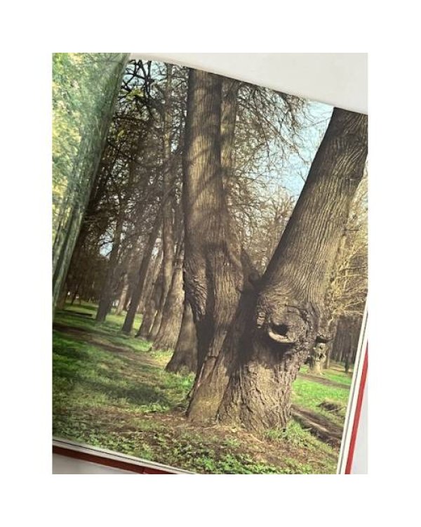 Дополнительное изображение книги «Марфино»