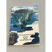 Обложка книги «Летом день не кончается» — Добровольский Всеволод Всеволодович