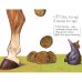 Дополнительное изображение книги «*Маленький крот, который хотел знать, кто наделал ему на голову»