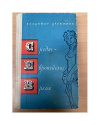 Средне-европейское время