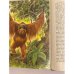 Дополнительное изображение книги «О редких животных мира»