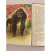 Дополнительное изображение книги «О редких животных мира»