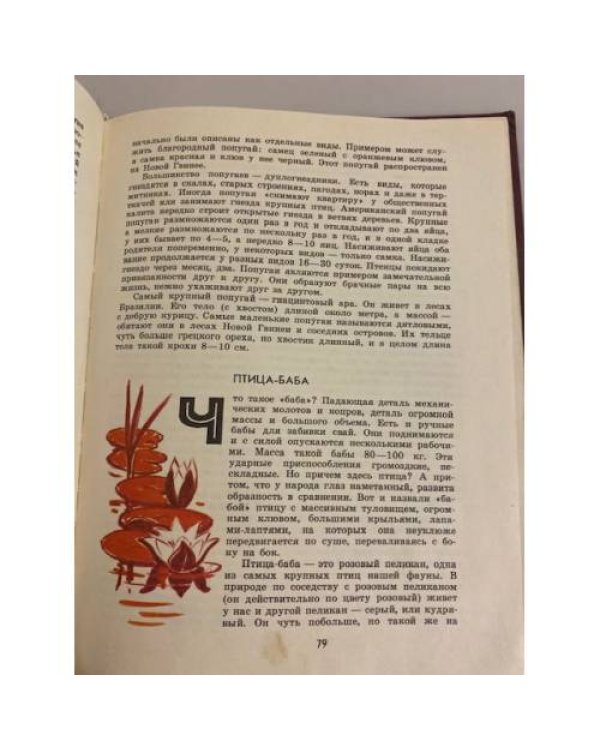 Дополнительное изображение книги «О редких животных мира»
