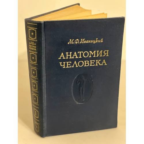 Анатомия человека. Том 1