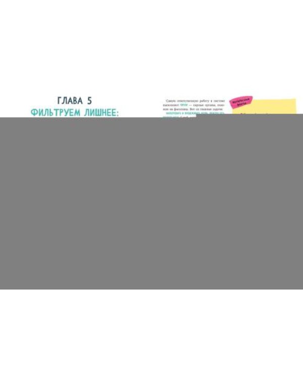 Дополнительное изображение книги «Тело человека и как оно работает»