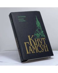 Дети времени. Местечко Сегельфосс