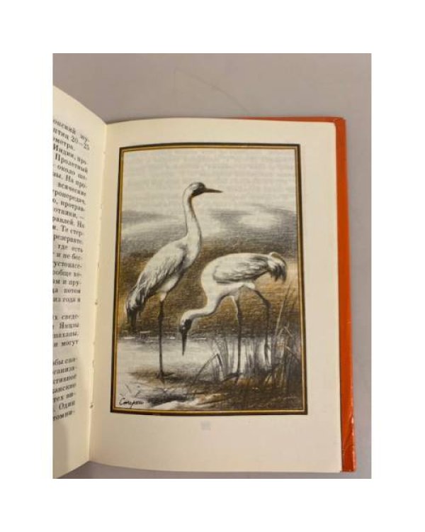 Дополнительное изображение книги «Мы и они »