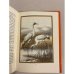 Дополнительное изображение книги «Мы и они »