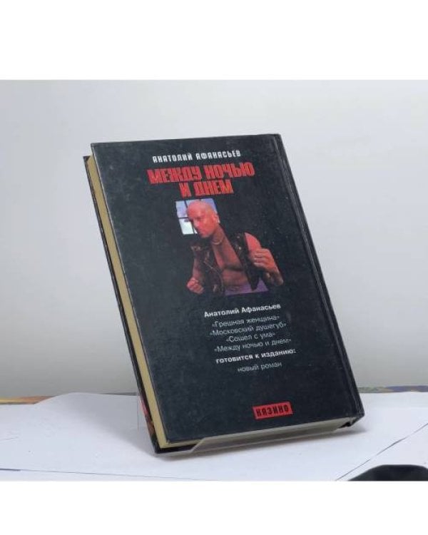Дополнительное изображение книги «Между ночью и днем»