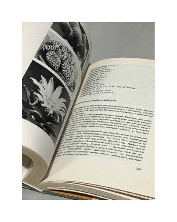 Колючее чудо