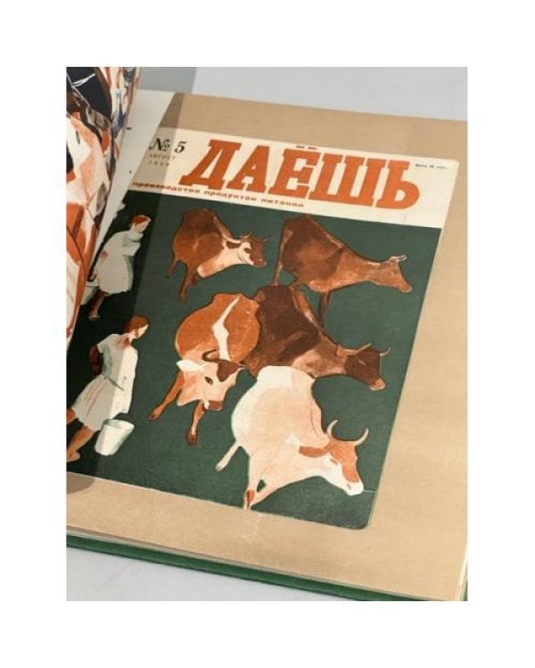 Журнальная графика Дейнеки. 1920 — начало 1930 гг.