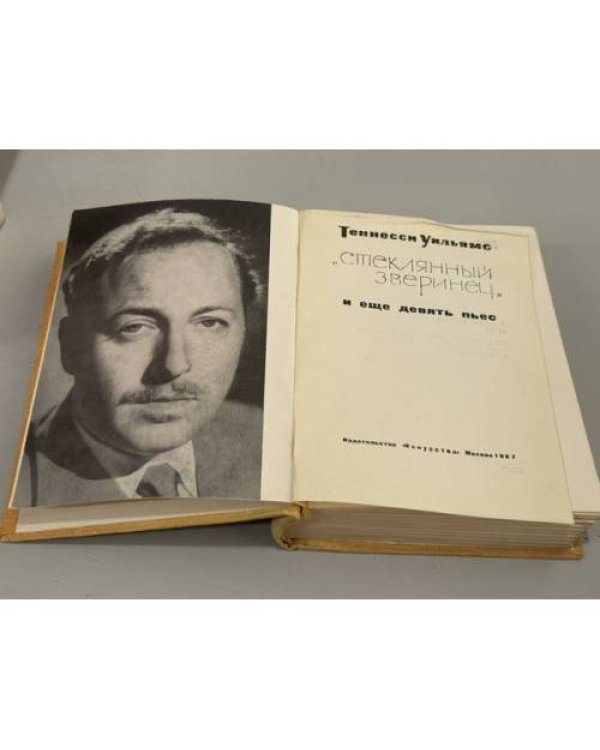 Дополнительное изображение книги «Теннесси Уильямс. Пьесы»