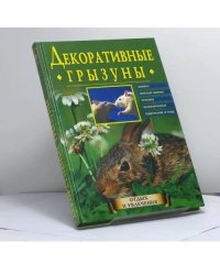 Декоративные грызуны
