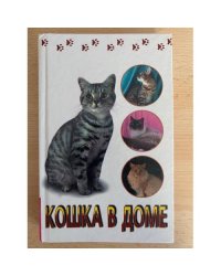 Кошка в доме