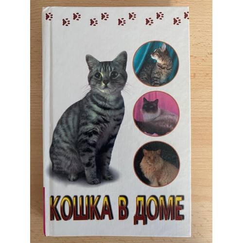 Кошка в доме