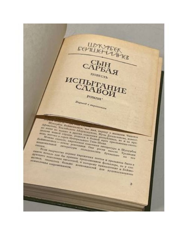 Дополнительное изображение книги «. Сын Сарбая. Испытание славой»