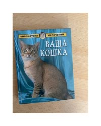 Ваша кошка