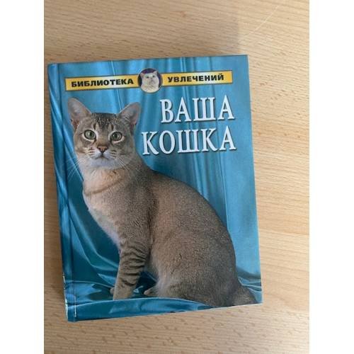 Ваша кошка
