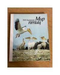 Мир птиц