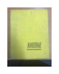 Животные близкие и далекие