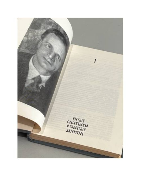Дополнительное изображение книги « Размышления читателя »