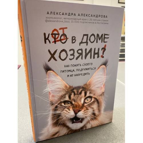 Кот в доме хозяин! Как понять своего питомца, подружиться и не навредить