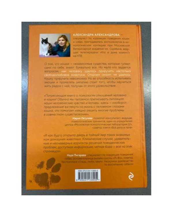 Кот в доме хозяин! Как понять своего питомца, подружиться и не навредить