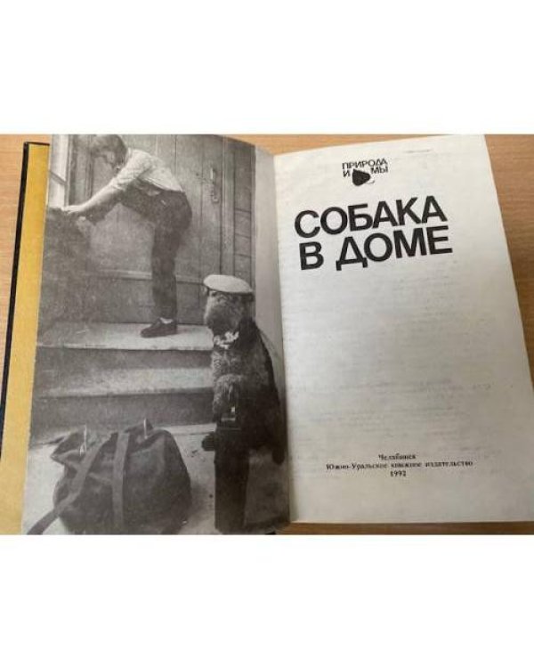 Собака в доме