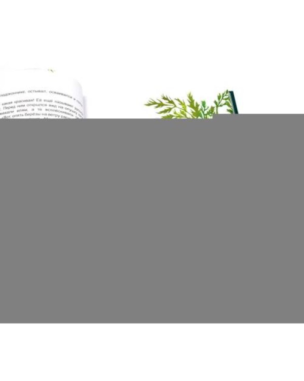 Дополнительное изображение книги «Гора самоцветов. Сказки народов России (комплект из 2-х книг)»